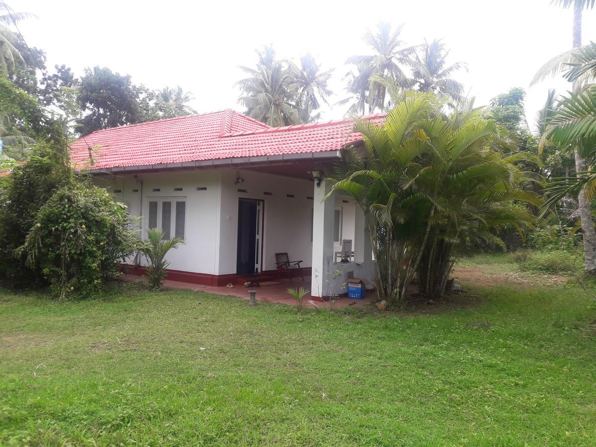 International Meditation Center Hotel Mirissa Esterno foto
