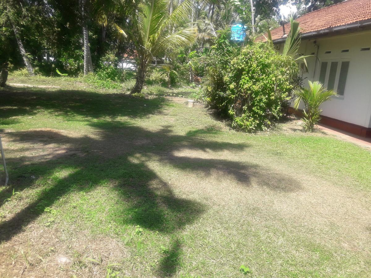 International Meditation Center Hotel Mirissa Esterno foto